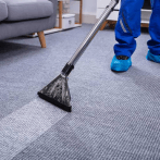 cleaning a carpet
