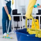 Oates spray mop for sparkling floors